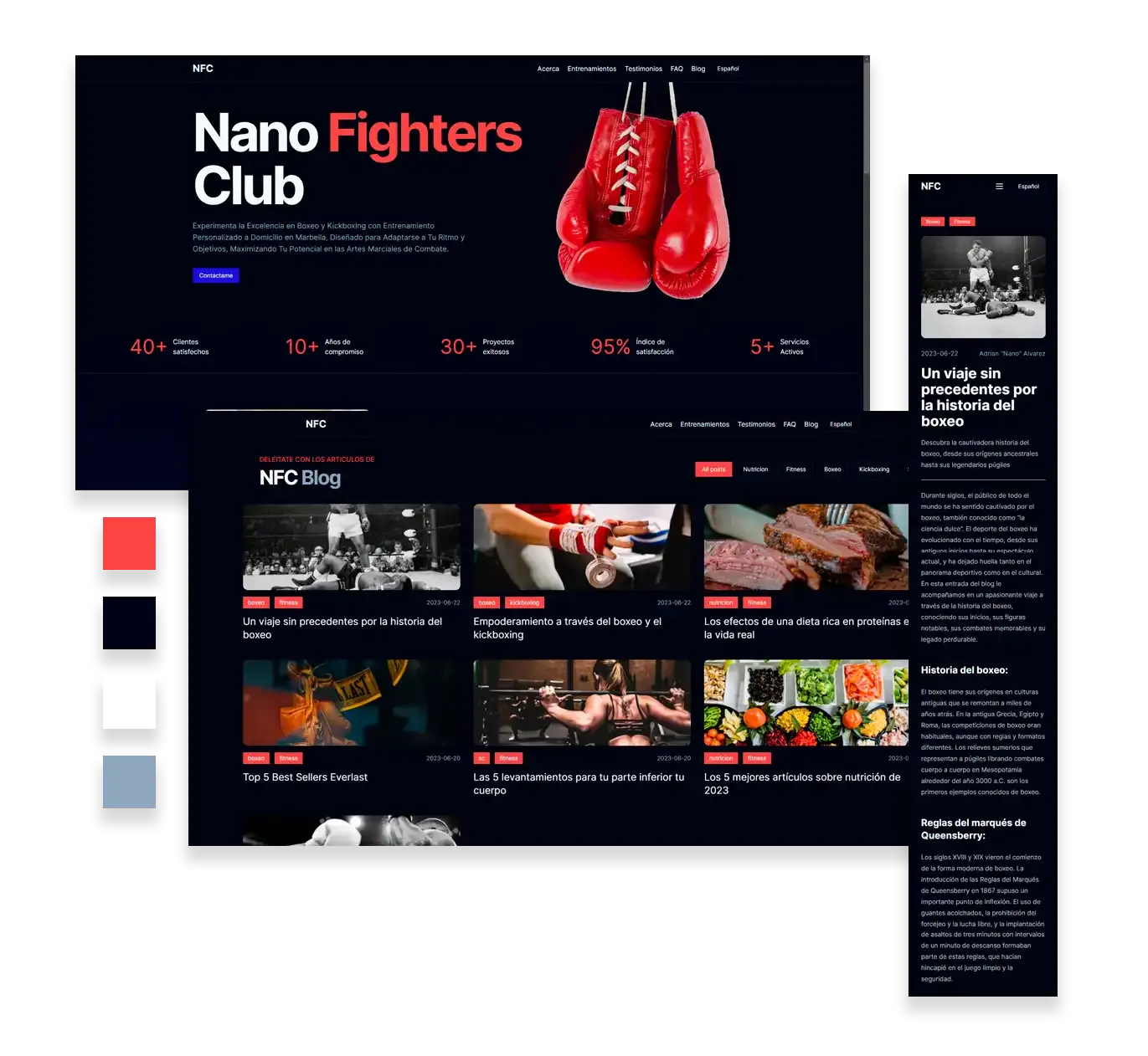 Nano Fighters Club Website - Style